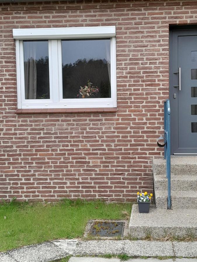 Tannenquartier - Ihr Ferienhaeuschen Apartment Gross Gronau Exterior photo